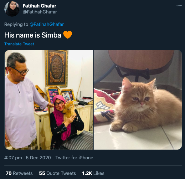 Dah lama idam nak bela u0027oyenu0027, ibu menangis dapat hadiah kucing 