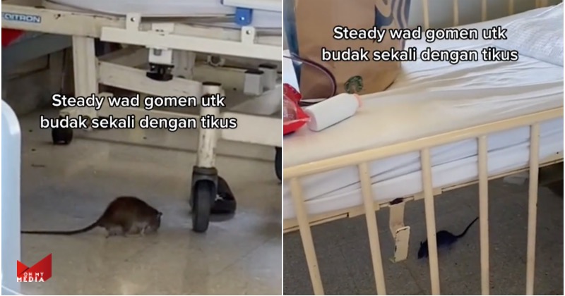 Angkara tikus di wad, netizen pertikai kebersihan dan keselamatan pesakit di hospital