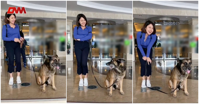 Baby Shima ambil gambar dengan anjing, netizen pesan jangan buka ruang fitnah