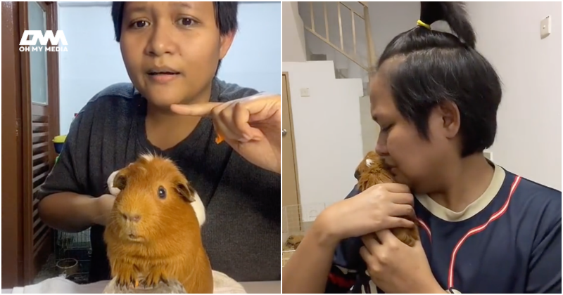 Pernah viral ikut gerak geri tuan, ‘guinea pig’ hembus nafas terakhir ketika ‘live’ TikTok