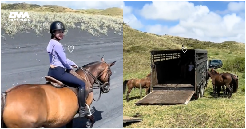 Percutian mewah! Suami Intan Najuwa ‘angkut’ 2 trak kuda ke New Zealand