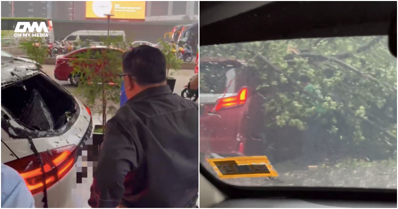 Syukur selamat, kereta Ketua Menteri Melaka nyaris dihempap pokok tumbang