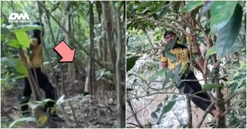 “Lagi santai kawan” -Pemancing kongsi situasi panik jumpa harimau dalam hutan