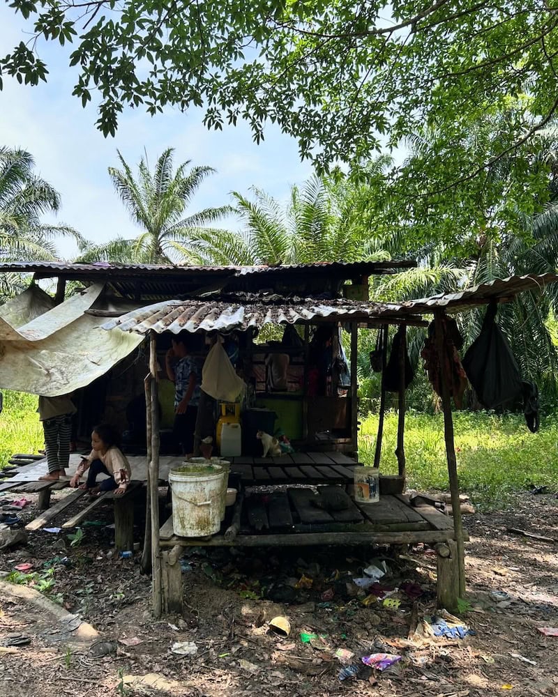 Pondok usang tanpa dinding