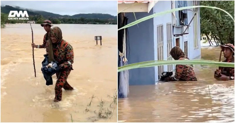 Terima kasih abang bomba! Kucing lencun terendam dalam banjir segera diselamatkan