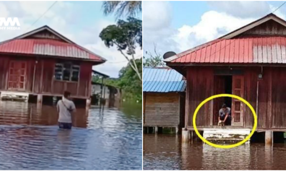 beri empat ekor kucing makan