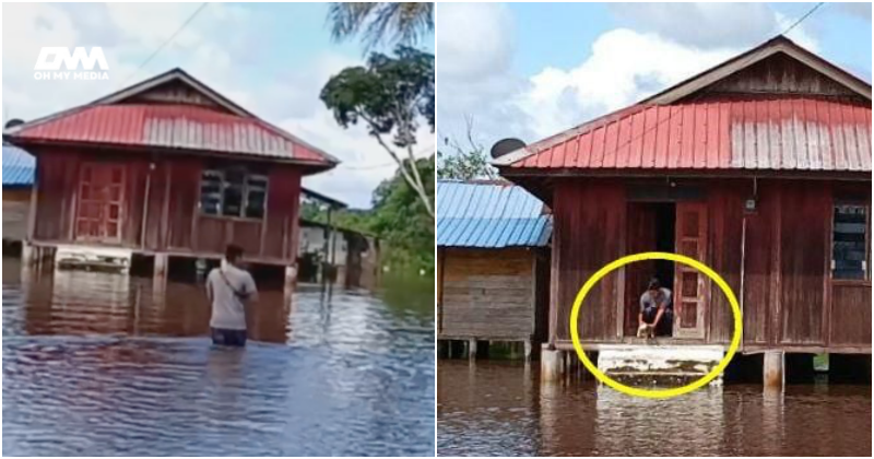 beri empat ekor kucing makan