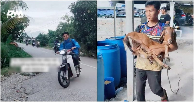 Jamu rakan2 anak sempena cuti semester, ayah ‘tumbang’ 2 ekor kambing rai tetamu