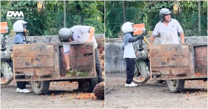 Cuti sekolah bermula, momen anak ikut bapa urus kelapa sawit raih perhatian