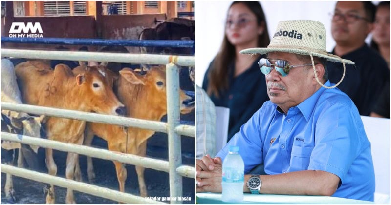 Lebih 70,000 kes lembu seludup di 4 negeri sempadan Thailand -Mat Sabu