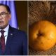 Anwar maklum epal dan oren tak kena SST