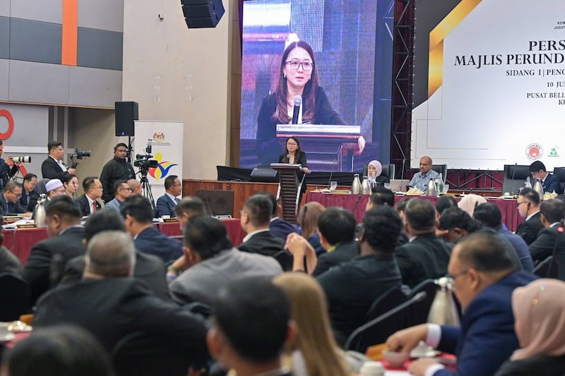 Had umur 30 tahun belia berkuat kuasa 1 Januari 2026 – Hannah