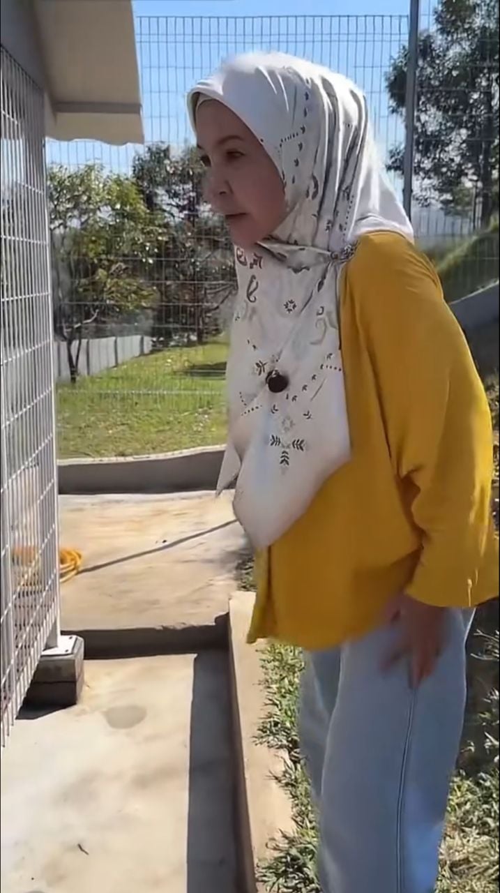 Kongsi cara bela anjing 