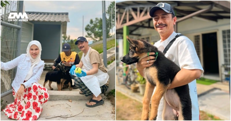 Bonda Rozita bela anjing K9 untuk keselamatan, ada sijil dan cip mikro dalam badan