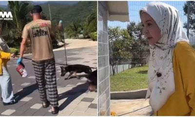 Kongsi cara bela anjing 