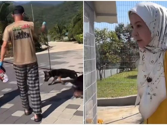 Kongsi cara bela anjing 