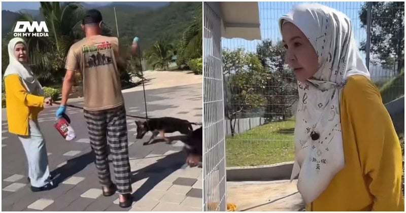 Kongsi cara bela anjing