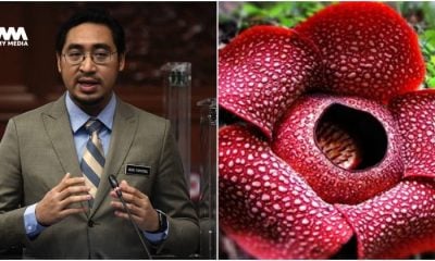 Wan Fayhsal cadang tukar nama Rafflesia