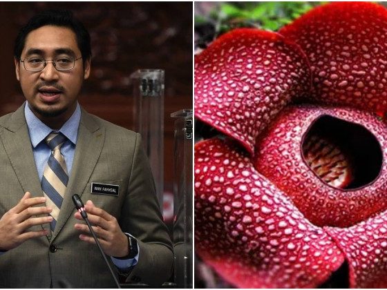 Wan Fayhsal cadang tukar nama Rafflesia