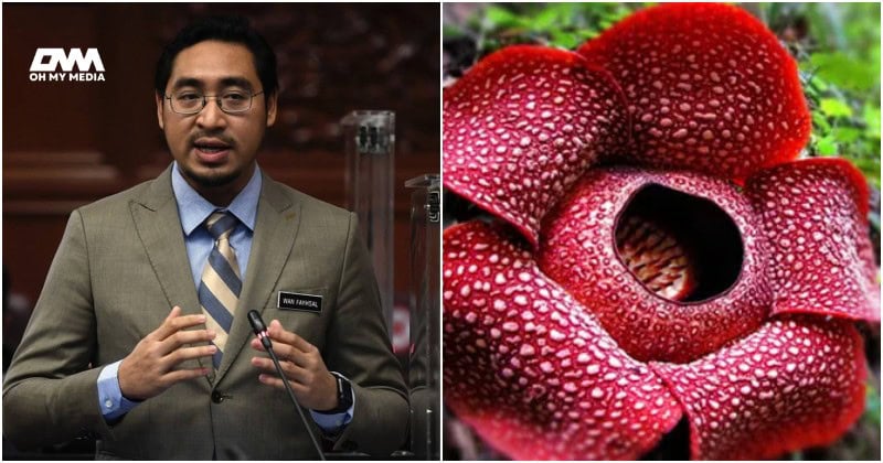 Wan Fayhsal cadang tukar nama Rafflesia