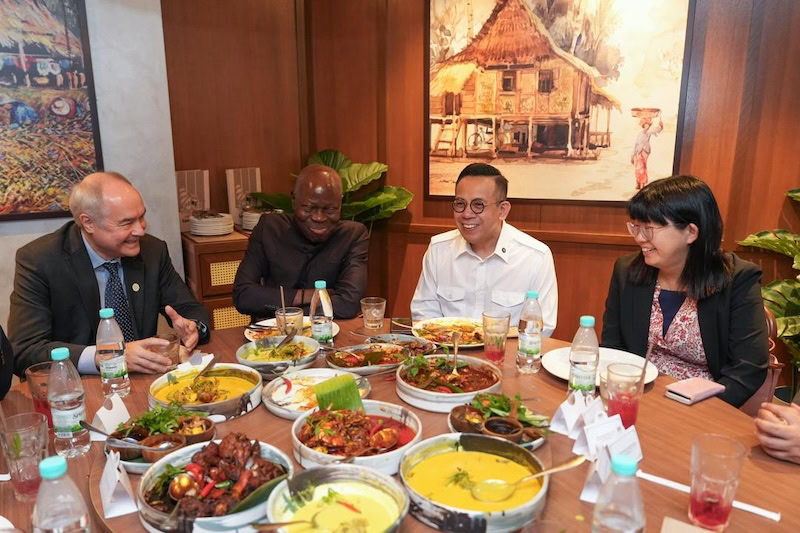 Ketua Pengarah ILO