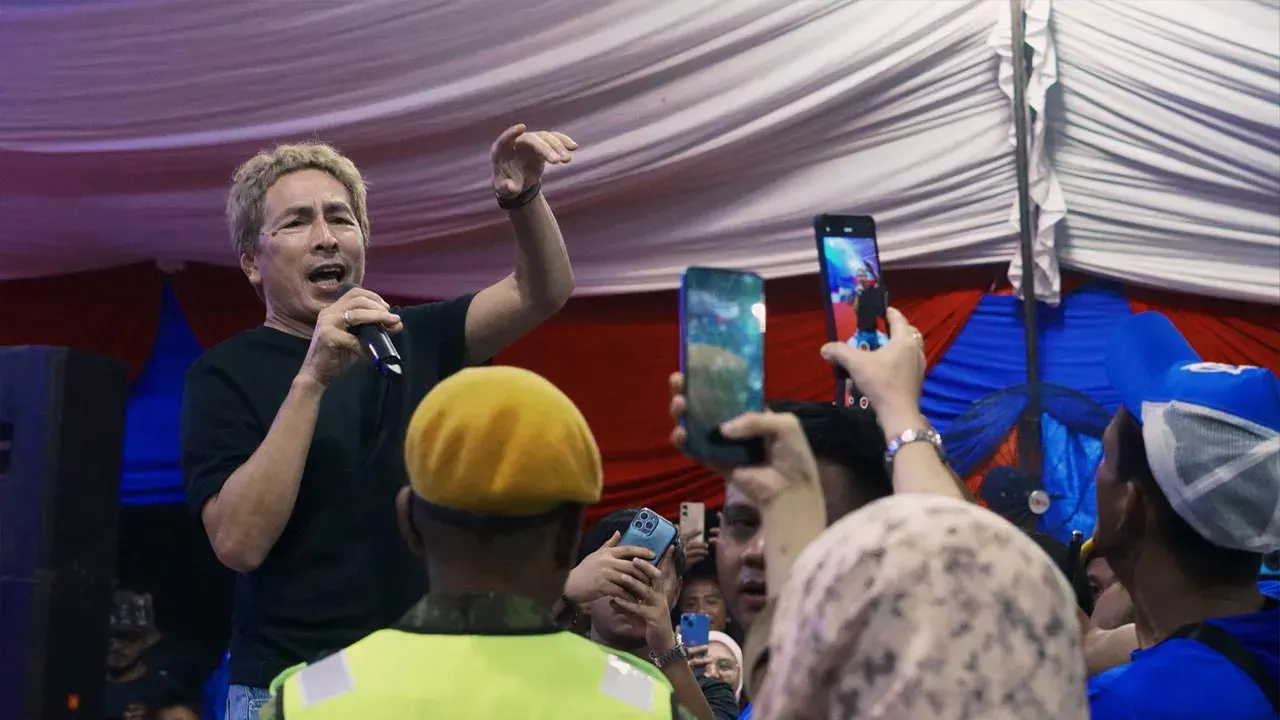 Anjur konsert Amy Search