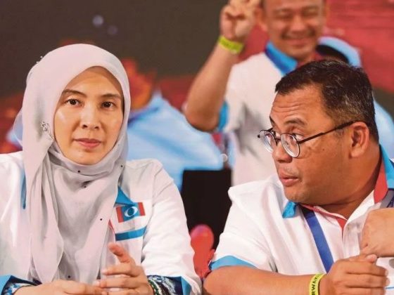 Amirudin perjelas cadangan Nurul Izzah