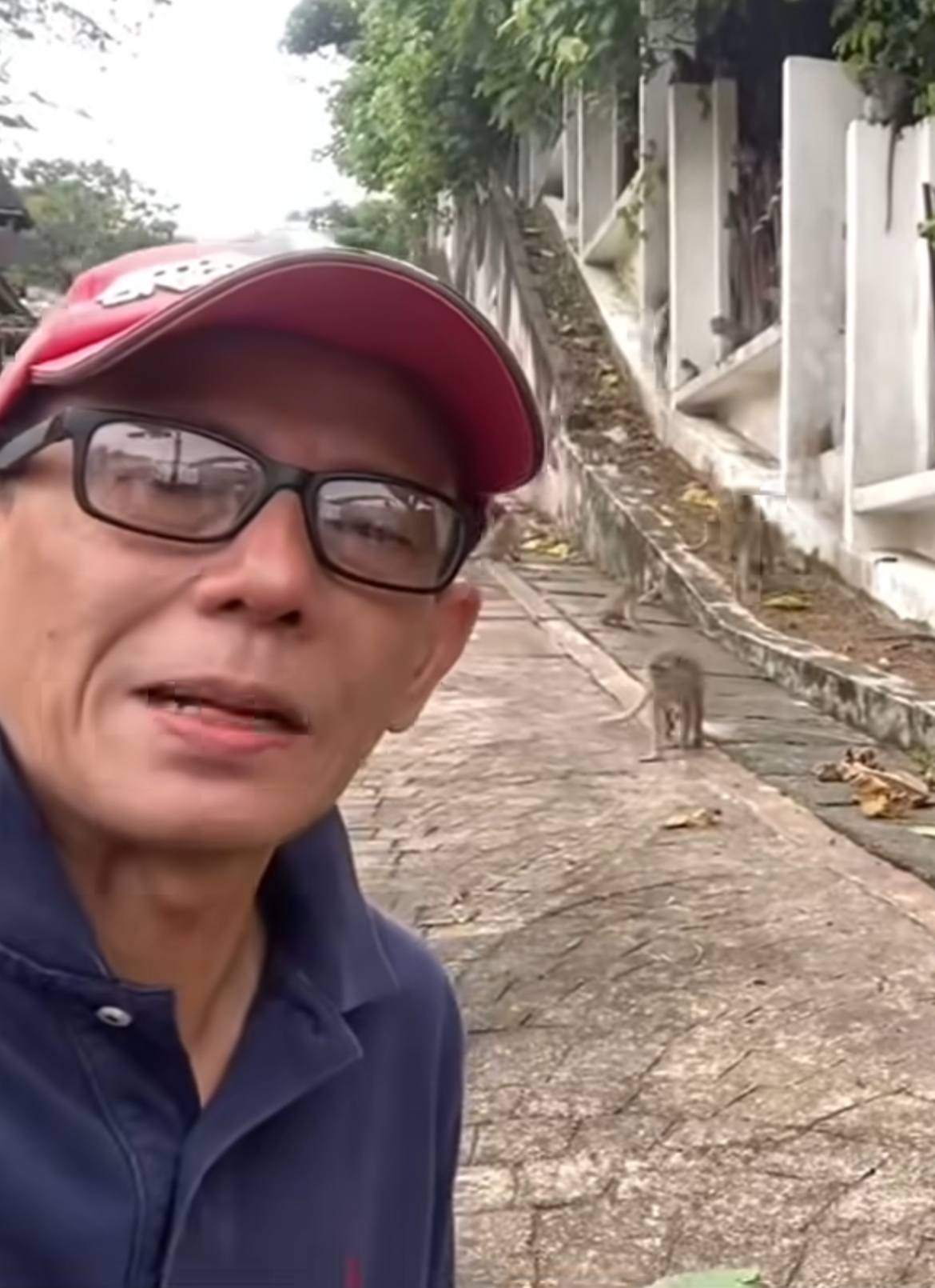 Rumah Azhar Sulaiman diganggu monyet