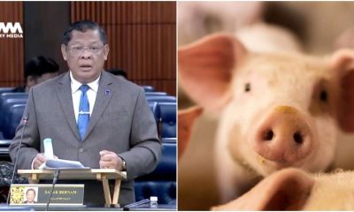 saya pun teringin nak makan khinzir