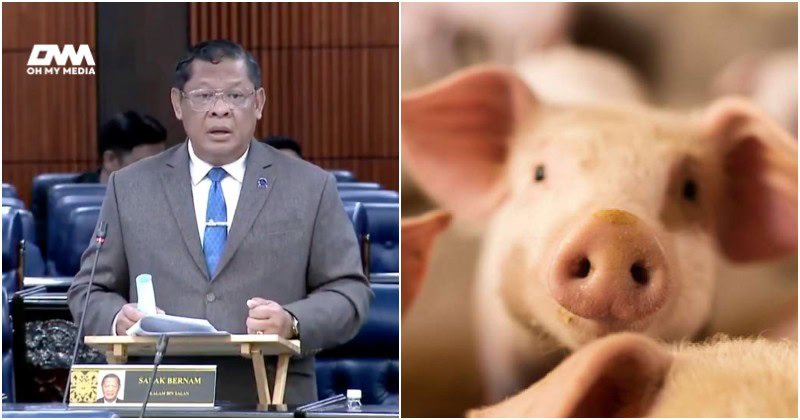 saya pun teringin nak makan khinzir