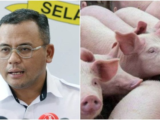 Amirudin Shari nafi Selangor wujud hab penternakan khinzir