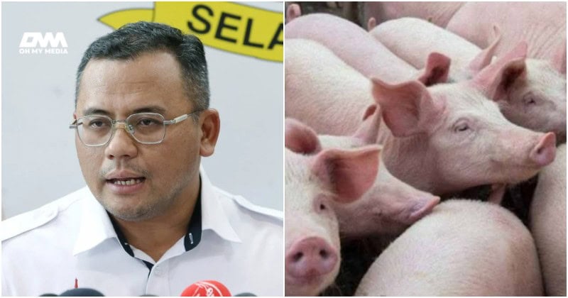 Amirudin Shari nafi Selangor wujud hab penternakan khinzir