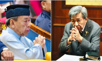 Sultan Selangor titah tiada lagi penternakan khinzir