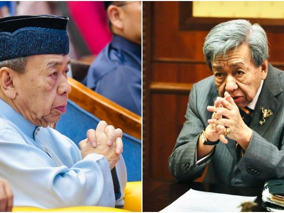 Sultan Selangor titah tiada lagi penternakan khinzir