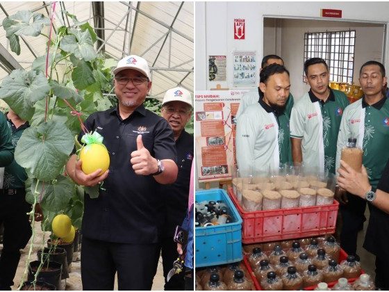 PERHEBAT-UPM berjaya latih 151 pelatih