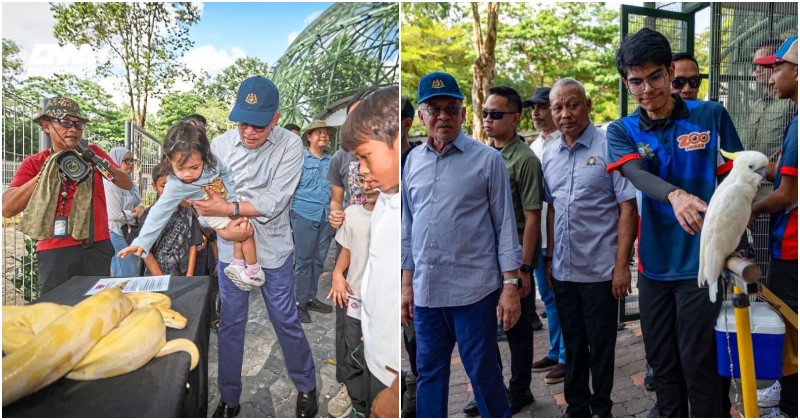 PM Anwar santuni pengunjung di Zoo