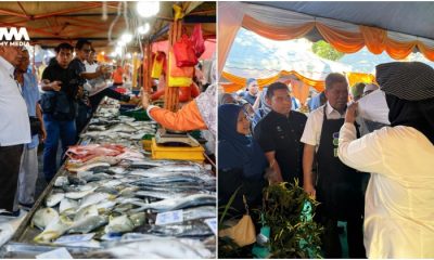 pertimbang bawa masuk ikan dari Sabah