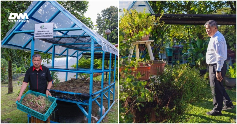 Mat Sabu ajak rakyat bercucuk tanam di rumah! Kurangkan kebergantungan bekalan import Mat Sabu ajak rakyat bercucuk tanam di rumah! Kurangkan kebergantungan bekalan import