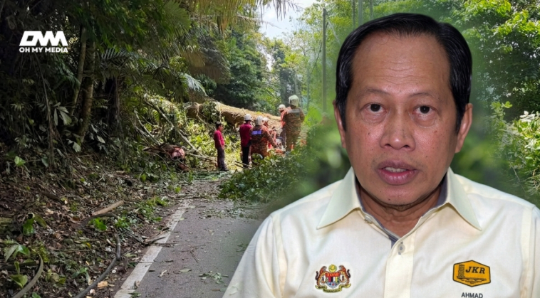 Pokok tumbang ragut nyawa? Ahmad Maslan jawab bukan tanggungjawab JKR! Pokok di tepi jalan bidang kuasa PBT Pokok tumbang ragut nyawa? Ahmad Maslan jawab bukan tanggungjawab JKR! Pokok di tepi jalan bidang kuasa PBT