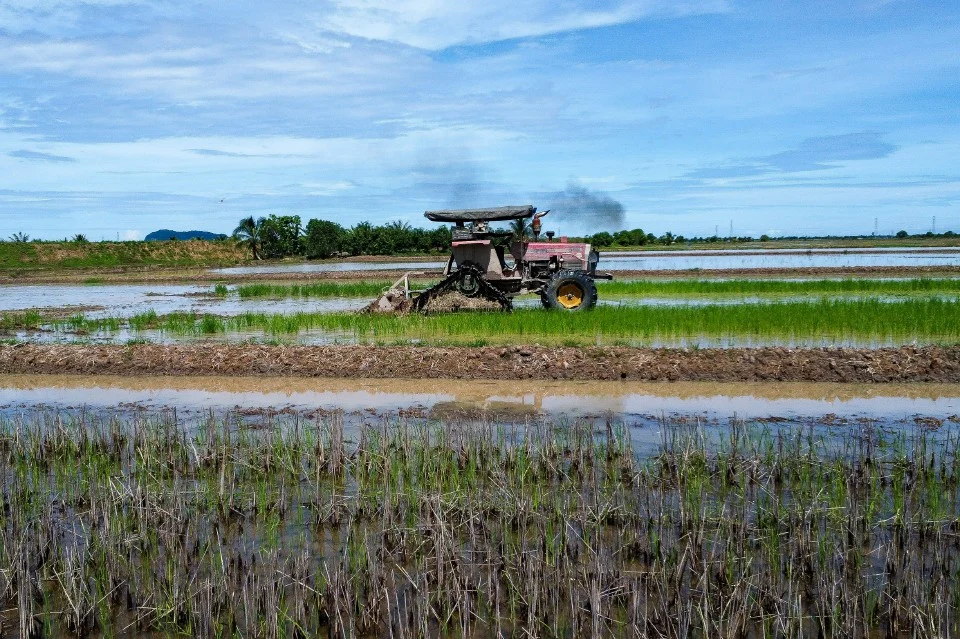 SPRM siasat kelewatan pemberian bekalan baja di Kedah SPRM siasat kelewatan pemberian bekalan baja di Kedah