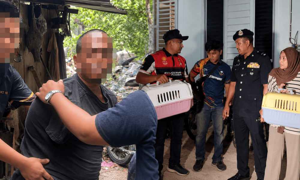 Kucing diselamatkan susulan jadi mangsa lelaki tak senonoh Kucing diselamatkan susulan jadi mangsa lelaki tak senonoh
