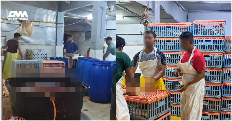 Tular video proses ayam meragukan, JAKIM siasat secara menyeluruh! Tular video proses ayam meragukan, JAKIM siasat secara menyeluruh!